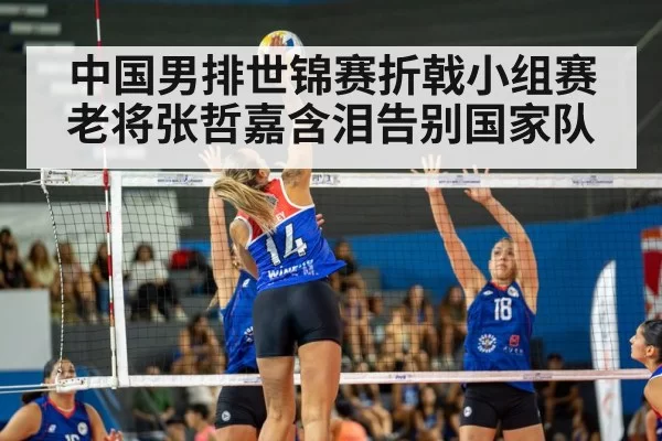 中国男排世锦赛折戟小组赛老将张哲嘉含泪告别国家队