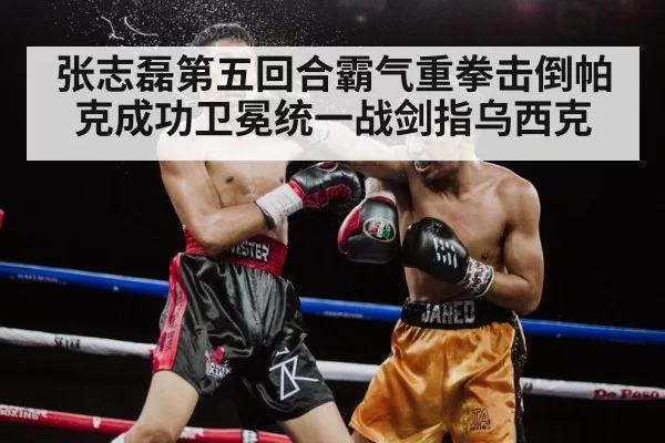 张志磊第五回合霸气重拳击倒帕克成功卫冕统一战剑指乌西克
