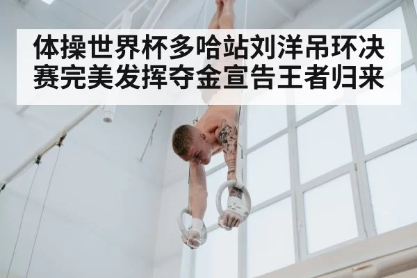 体操世界杯多哈站刘洋吊环决赛完美发挥夺金宣告王者归来